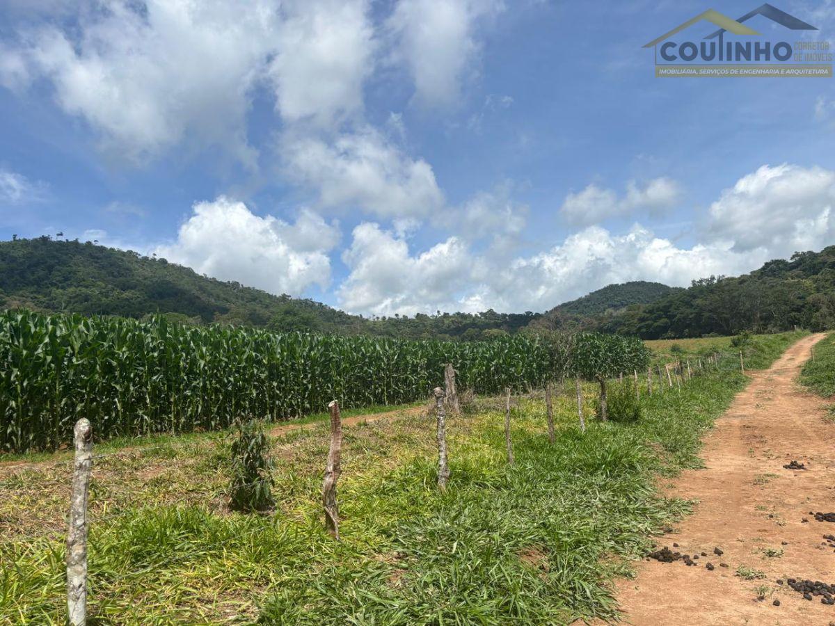 WhatsApp Image 2025-12-11 at 13.22.57.jpeg